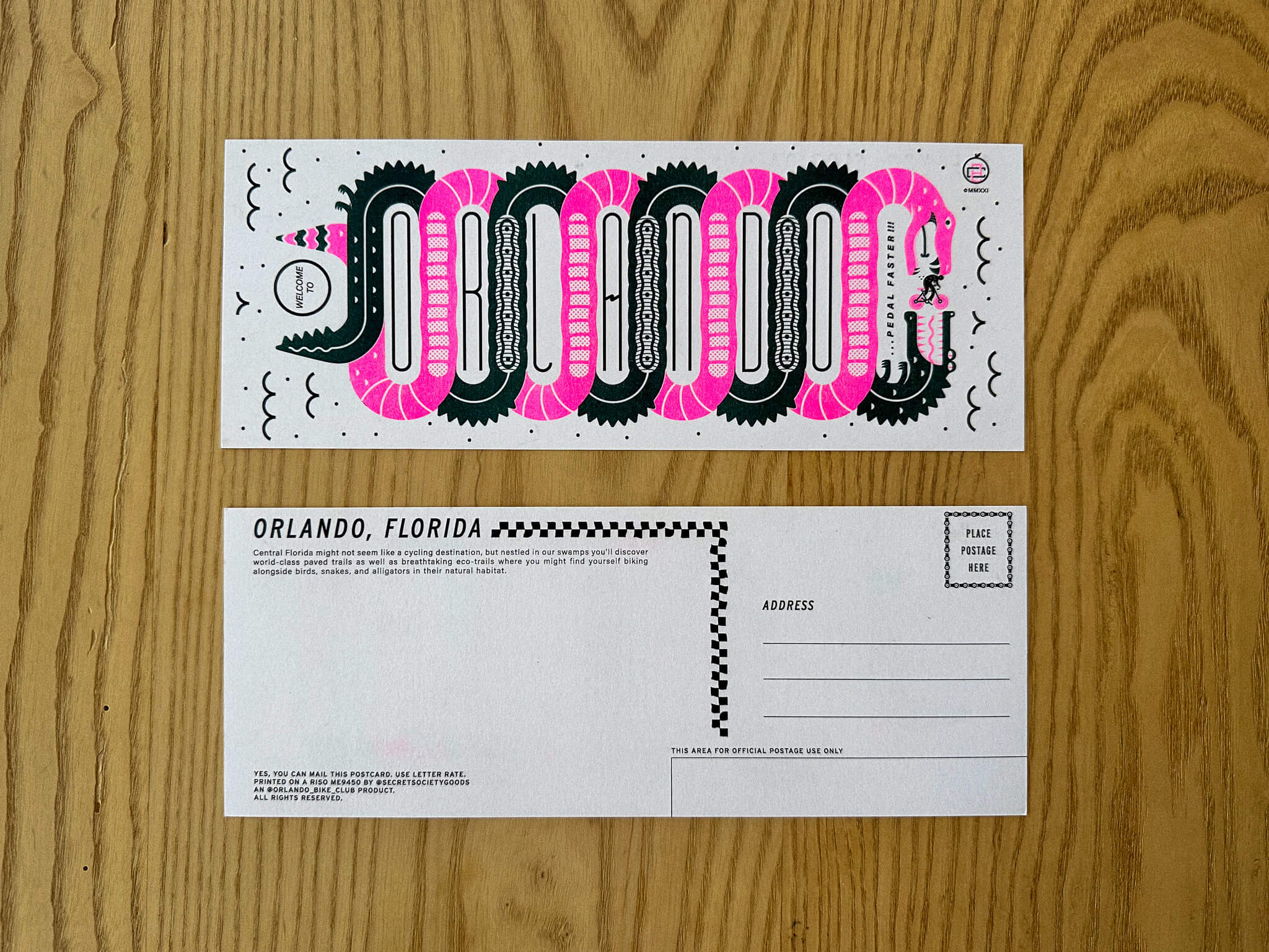 Florida Swamp Cycle Postcard
